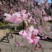 ヒメ日記 2026/03/31 09:15 投稿 みお 大宮人妻デリヘル～大人の事情～