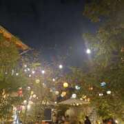 ヒメ日記 2025/11/08 05:12 投稿 冨永かがり Mrs. Dandy Shibuya