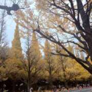 ヒメ日記 2025/12/12 08:01 投稿 冨永かがり Mrs. Dandy Shibuya