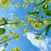 ヒメ日記 2026/03/03 00:49 投稿 冨永かがり Mrs. Dandy Shibuya