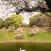 ヒメ日記 2026/04/09 23:29 投稿 冨永かがり Mrs. Dandy Shibuya