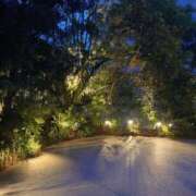 ヒメ日記 2026/04/15 06:07 投稿 冨永かがり Mrs. Dandy Shibuya