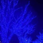 ヒメ日記 2024/12/25 21:51 投稿 冨永かがり Mrs. Dandy Shinjuku