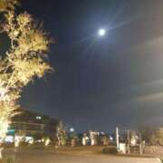 ヒメ日記 2025/03/14 19:02 投稿 冨永かがり Mrs. Dandy Shinjuku