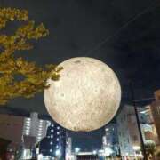 ヒメ日記 2025/10/08 00:03 投稿 冨永かがり Mrs.Dandy Kinshicho