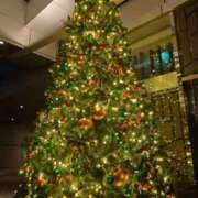 ヒメ日記 2025/12/09 19:02 投稿 冨永かがり Mrs.Dandy Kinshicho