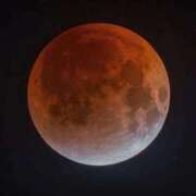 冨永かがり 🌝 total lunar eclipse 🌝 Mrs.Dandy Kinshicho