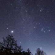 ヒメ日記 2026/03/27 05:19 投稿 冨永かがり Mrs.Dandy Kinshicho