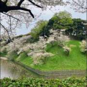 ヒメ日記 2026/04/08 02:29 投稿 冨永かがり Mrs.Dandy Kinshicho