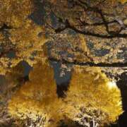 ヒメ日記 2025/12/02 01:11 投稿 冨永かがり Mrs. Dandy shinagawa