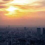 ヒメ日記 2026/03/10 05:29 投稿 冨永かがり Mrs. Dandy shinagawa