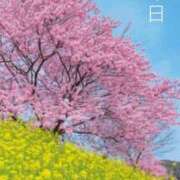 ヒメ日記 2026/03/20 06:39 投稿 冨永かがり Mrs. Dandy shinagawa