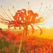 ヒメ日記 2025/09/23 00:30 投稿 冨永かがり Mrs. Dandy