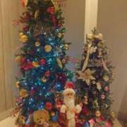 ヒメ日記 2025/11/19 04:32 投稿 冨永かがり Mrs. Dandy