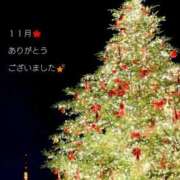 ヒメ日記 2025/12/01 03:21 投稿 冨永かがり Mrs. Dandy