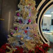 ヒメ日記 2025/12/17 16:51 投稿 冨永かがり Mrs. Dandy