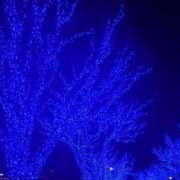 ヒメ日記 2024/12/25 21:57 投稿 冨永かがり Mrs. Dandy Yokohama