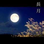 ヒメ日記 2025/02/23 10:06 投稿 冨永かがり Mrs. Dandy Yokohama