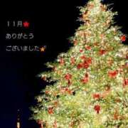 ヒメ日記 2025/12/01 03:21 投稿 冨永かがり Mrs. Dandy Yokohama