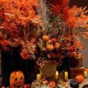 ヒメ日記 2025/02/24 18:38 投稿 冨永かがり Mrs. Dandy Haneda