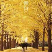 ヒメ日記 2025/10/01 22:15 投稿 冨永かがり Mrs. Dandy Haneda