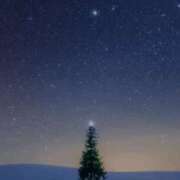 ヒメ日記 2025/12/25 00:51 投稿 冨永かがり Mrs. Dandy Haneda