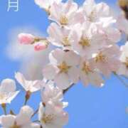 ヒメ日記 2026/04/01 00:29 投稿 冨永かがり Mrs. Dandy Haneda