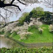 ヒメ日記 2026/04/08 02:29 投稿 冨永かがり Mrs. Dandy Haneda