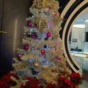 ヒメ日記 2025/12/17 17:01 投稿 冨永かがり Mrs.Dandy Ueno