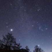 ヒメ日記 2026/03/12 05:59 投稿 冨永かがり Mrs.Dandy Ueno