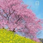 ヒメ日記 2026/03/20 06:49 投稿 冨永かがり Mrs.Dandy Ueno