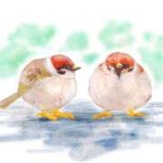 ヒメ日記 2024/12/13 06:00 投稿 叶さき セクシーキャット 神田店