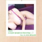 ヒメ日記 2024/12/14 07:56 投稿 叶さき セクシーキャット 神田店