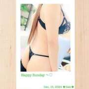 ヒメ日記 2024/12/15 07:50 投稿 叶さき セクシーキャット 神田店