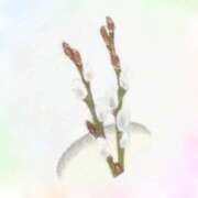 ヒメ日記 2025/02/07 06:01 投稿 叶さき セクシーキャット 神田店