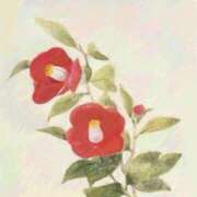 ヒメ日記 2025/02/16 06:00 投稿 叶さき セクシーキャット 神田店