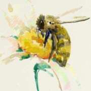 ヒメ日記 2025/03/07 06:18 投稿 叶さき セクシーキャット 神田店