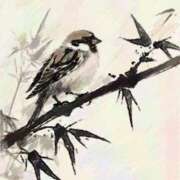 ヒメ日記 2025/03/22 06:07 投稿 叶さき セクシーキャット 神田店