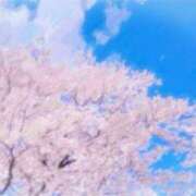 ヒメ日記 2025/04/04 06:16 投稿 叶さき セクシーキャット 神田店