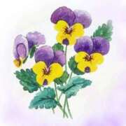 ヒメ日記 2025/04/12 06:06 投稿 叶さき セクシーキャット 神田店