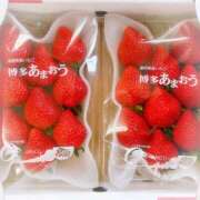 ヒメ日記 2025/04/17 10:03 投稿 叶さき セクシーキャット 神田店