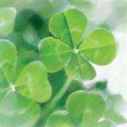 ヒメ日記 2025/04/18 06:23 投稿 叶さき セクシーキャット 神田店