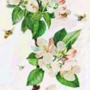 ヒメ日記 2025/04/27 06:25 投稿 叶さき セクシーキャット 神田店