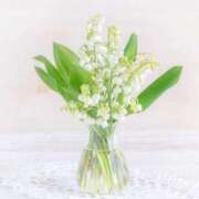 ヒメ日記 2025/05/02 14:21 投稿 叶さき セクシーキャット 神田店