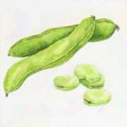 ヒメ日記 2025/05/08 06:00 投稿 叶さき セクシーキャット 神田店