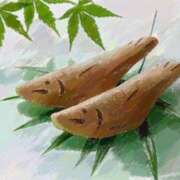 ヒメ日記 2025/05/15 05:56 投稿 叶さき セクシーキャット 神田店