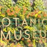 ヒメ日記 2025/05/23 16:29 投稿 叶さき セクシーキャット 神田店