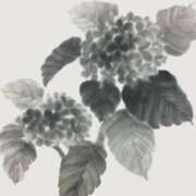 ヒメ日記 2025/06/03 09:10 投稿 叶さき セクシーキャット 神田店