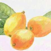 ヒメ日記 2025/06/06 06:11 投稿 叶さき セクシーキャット 神田店