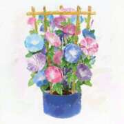 ヒメ日記 2025/06/21 06:04 投稿 叶さき セクシーキャット 神田店